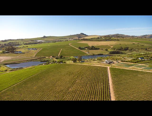 94HA FARM FOR SALE IN STELLENBOSCH FARMS